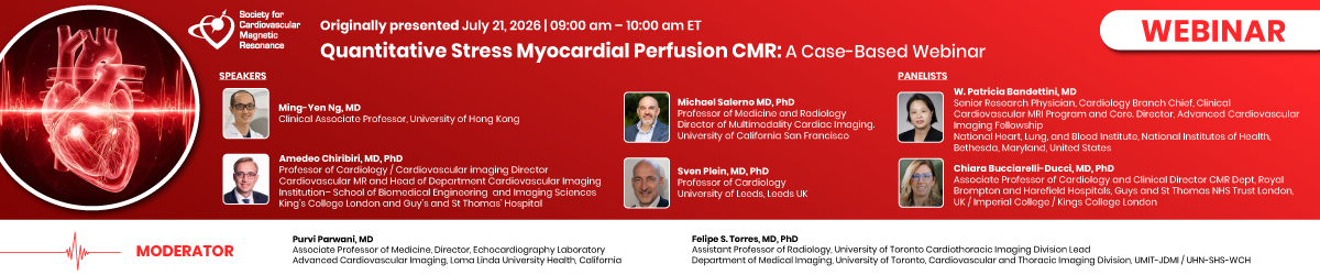 Quantitative Stress Myocardial Perfusion CMR Image